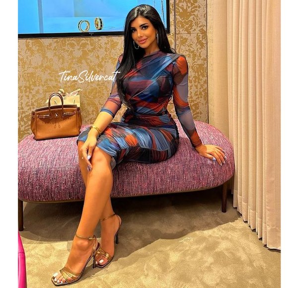 BLOGGER'S FAVE! Zara 2 Pc Printed Tulle Skirt And Top NWT - Picture 3 of 17